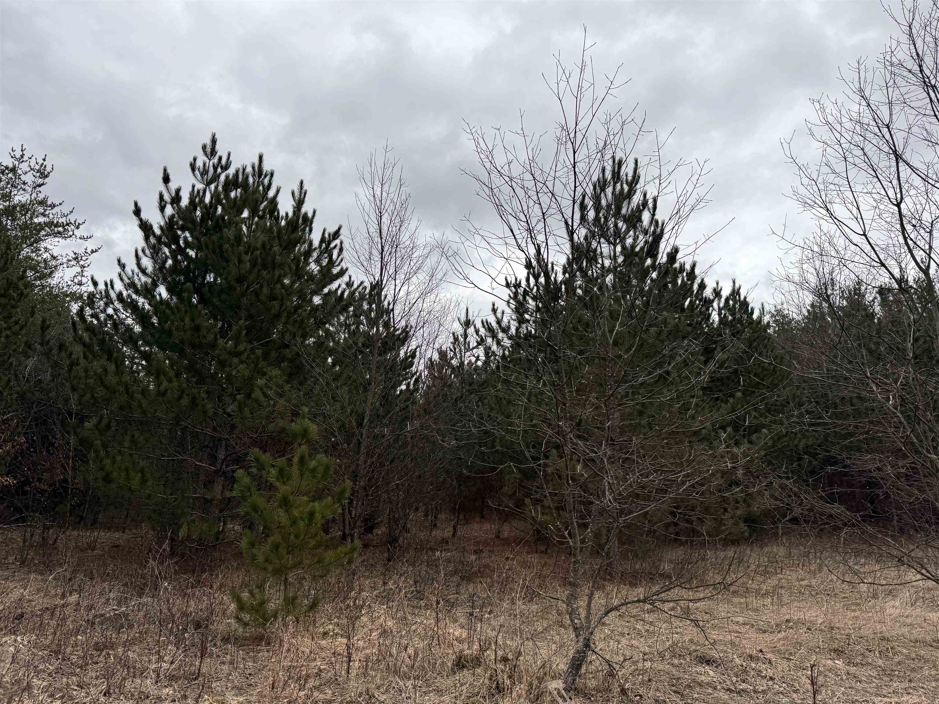652 Phelps Road Northeast Kalkaska, MI 49646 - Photo 13 of 13
