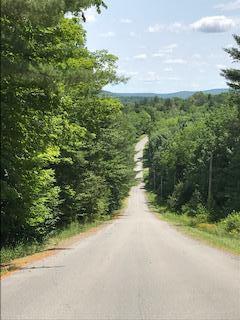 Tbd Deer Run Subdivision North Road Harmony, ME 04942 - Photo 4 of 10 IMG_1530