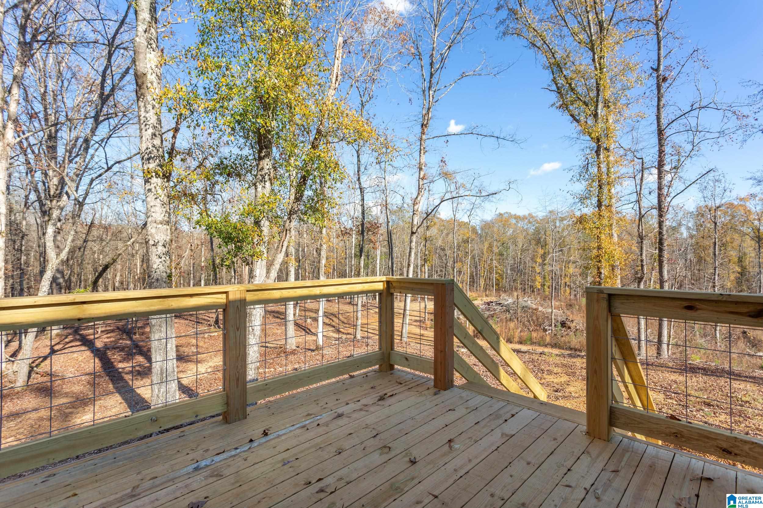 333 Chicksaw Trail Ohatchee, AL 36271 - Photo 29 of 37 Gallery Image 29