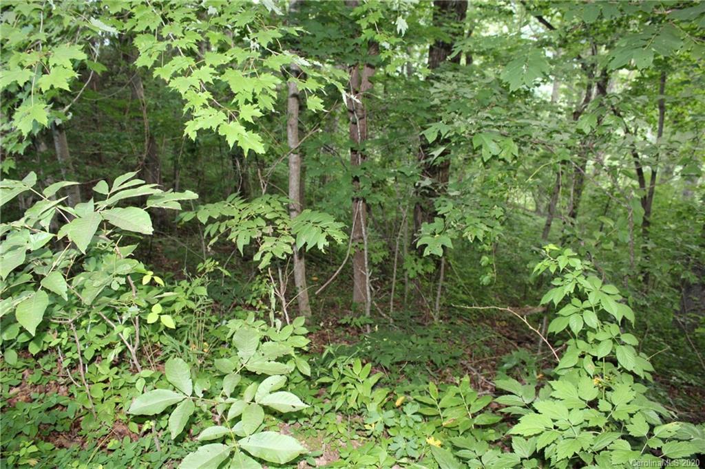 106 Rambling Ridge Road, Unit 17 Asheville, NC 28804 - Photo 14 of 37 Gallery Image 14