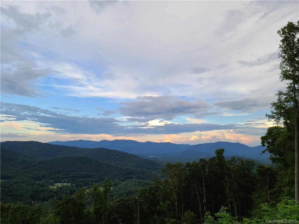 106 Rambling Ridge Road, Unit 17 Asheville, NC 28804 - Photo 3 of 37 Gallery Image 3