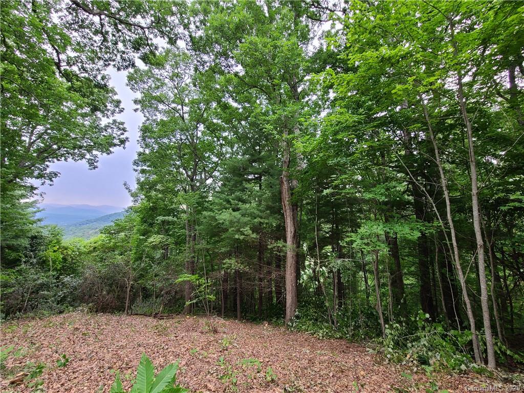 106 Rambling Ridge Road, Unit 17 Asheville, NC 28804 - Photo 7 of 37 Gallery Image 7