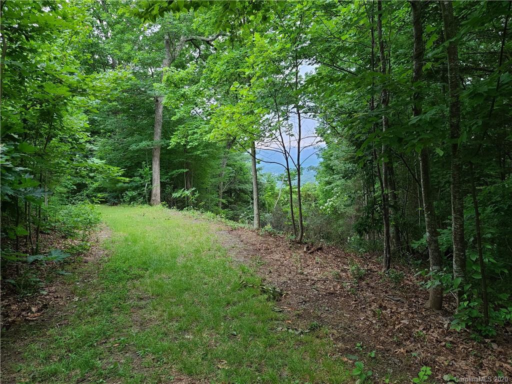 106 Rambling Ridge Road, Unit 17 Asheville, NC 28804 - Photo 8 of 37 Gallery Image 8
