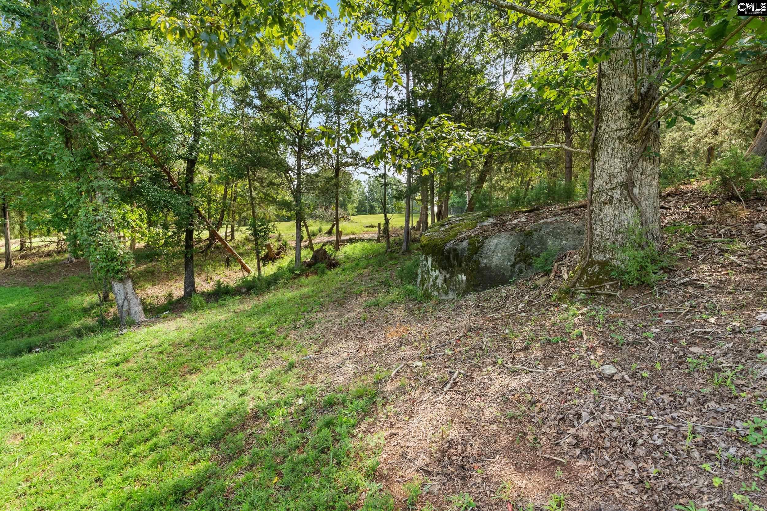2318 Beaver Creek Road Camden, SC 29020 - Photo 81 of 96 Gallery Image 81