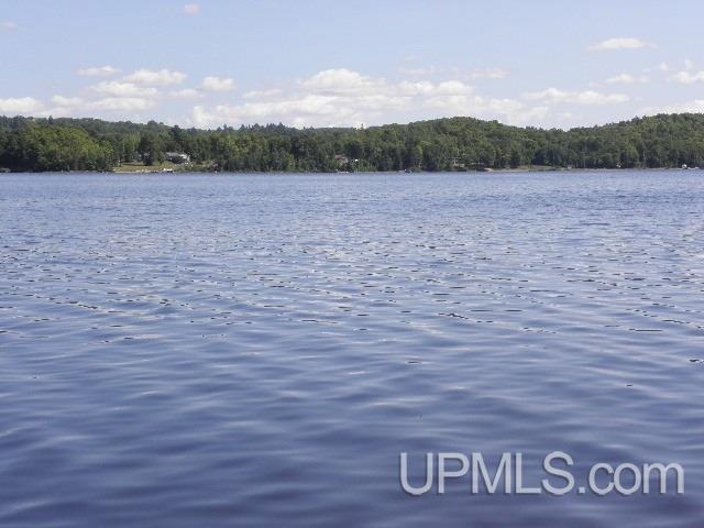 Tbd Cardinal Red Road, Unit 3B Michigamme, MI 49861 - Photo 6 of 8 Gallery Image 6