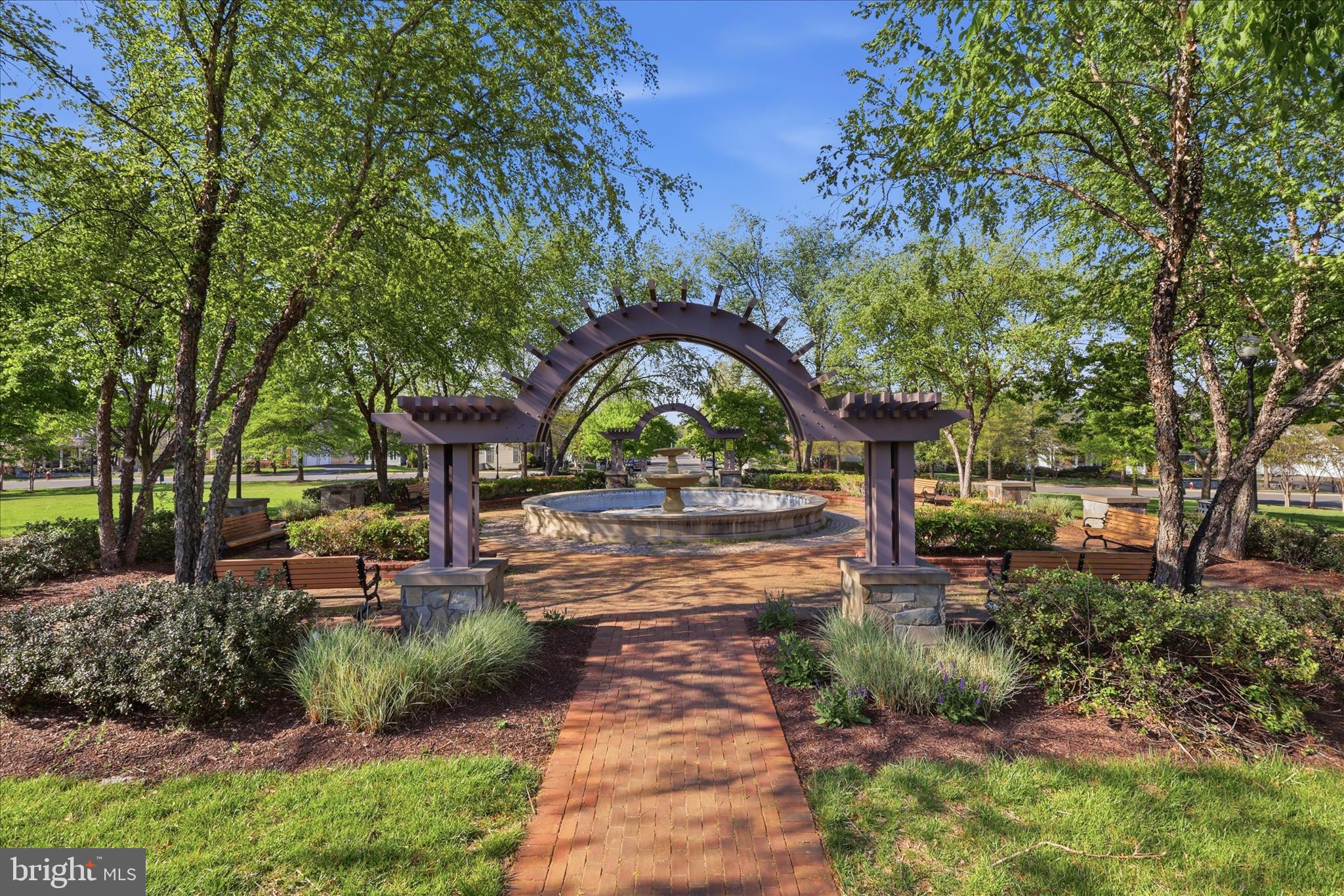 25352 Ripleys Field Drive Chantilly, VA 20152 - Photo 35 of 54 a view of a garden with plants and large trees