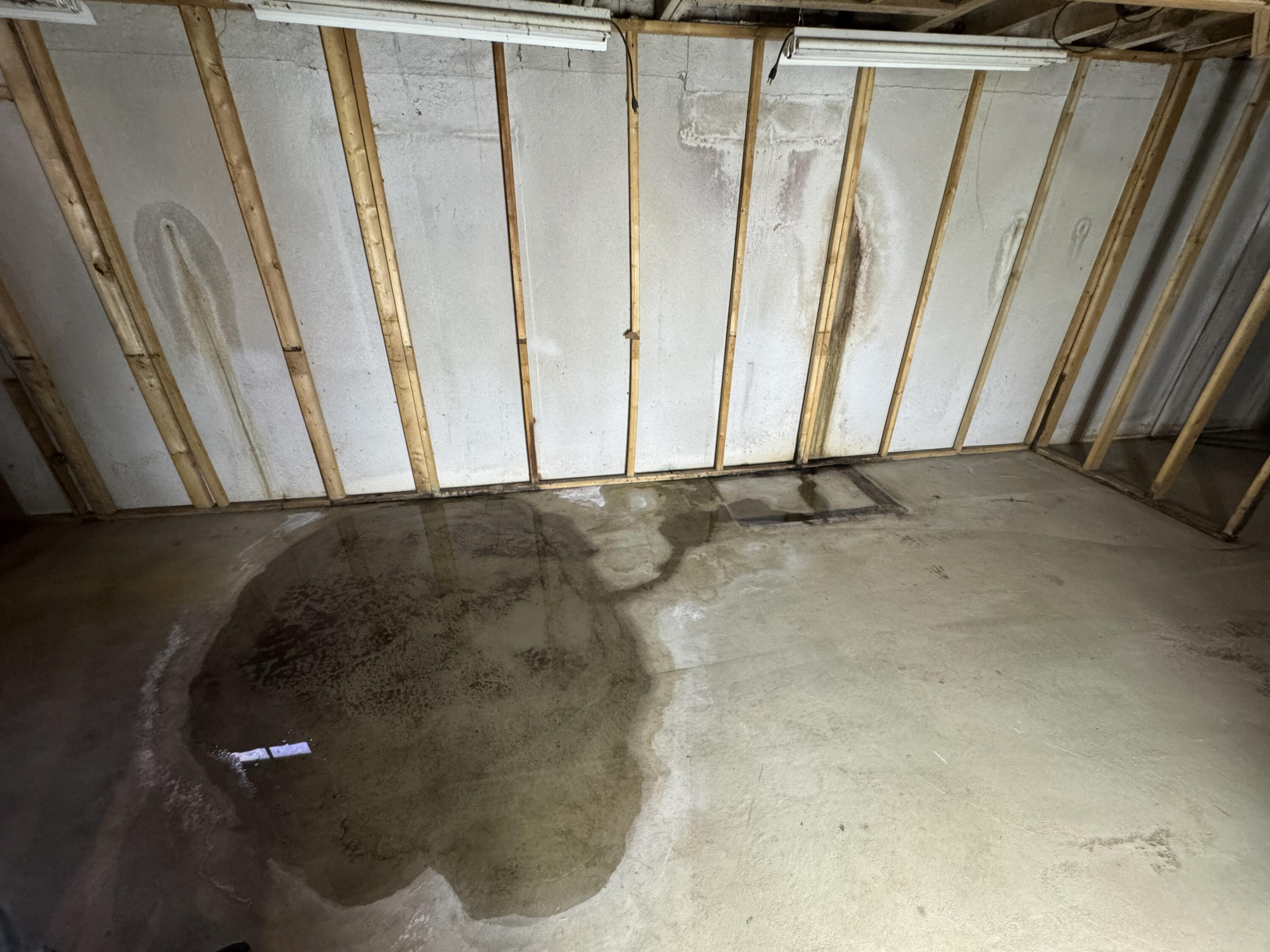 5218 Cherokee Court Troy, MI 48098 - Photo 41 of 46 IMG_9064