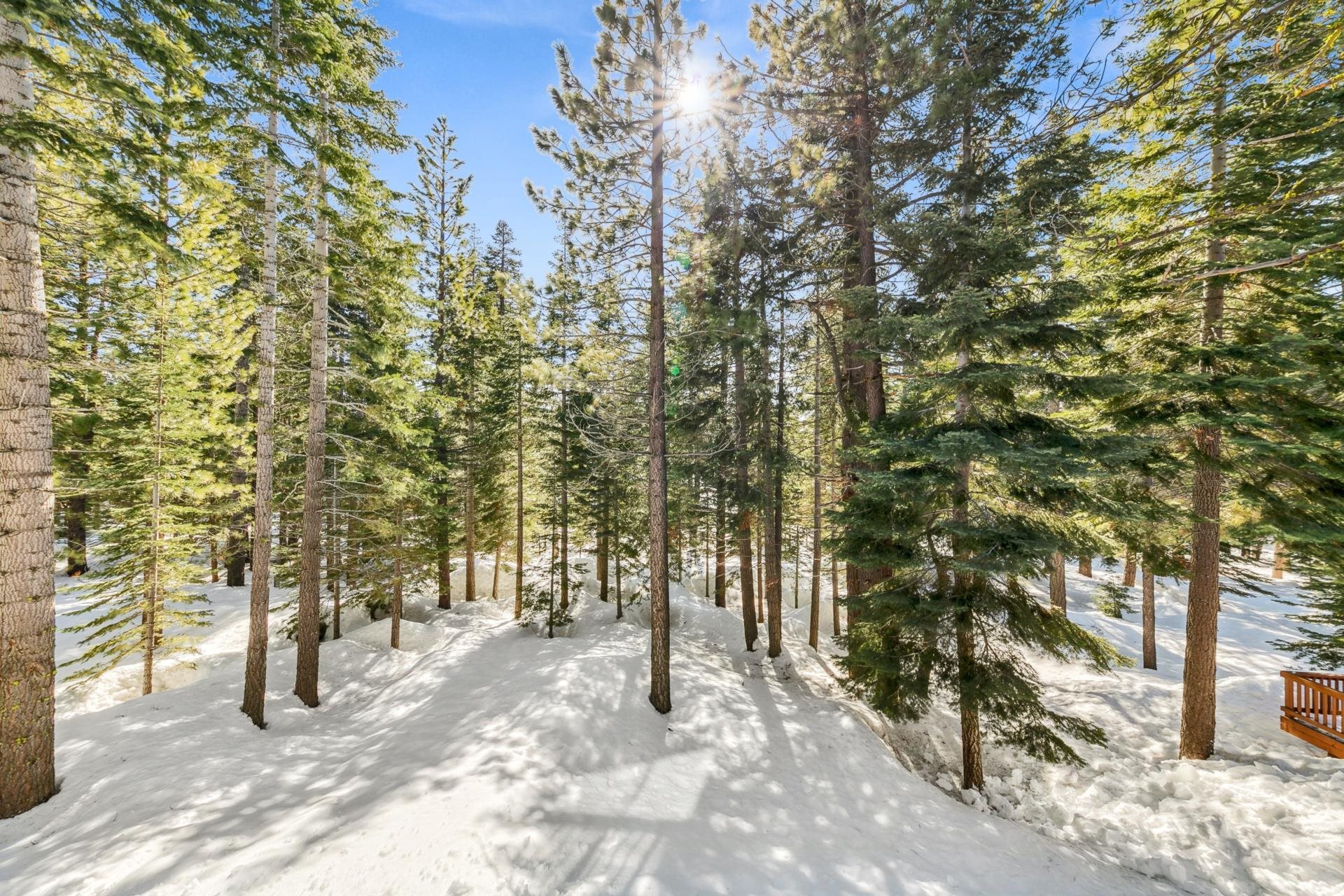 11400 Sitzmark Way Truckee, CA 96161 - Photo 6 of 21 a view of forest