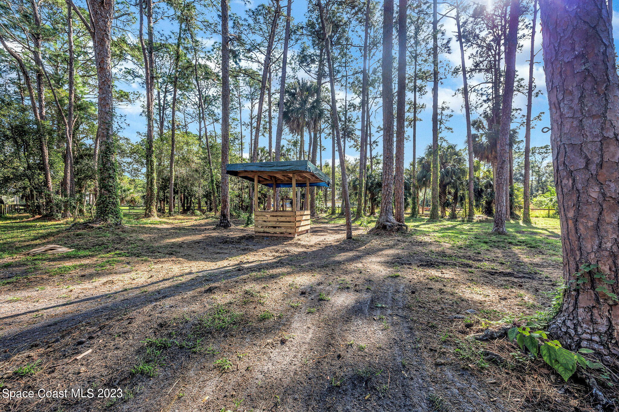 2281 Friday Road Cocoa, FL 32926 - Photo 50 of 72 a view of outdoor space with deck and trees
