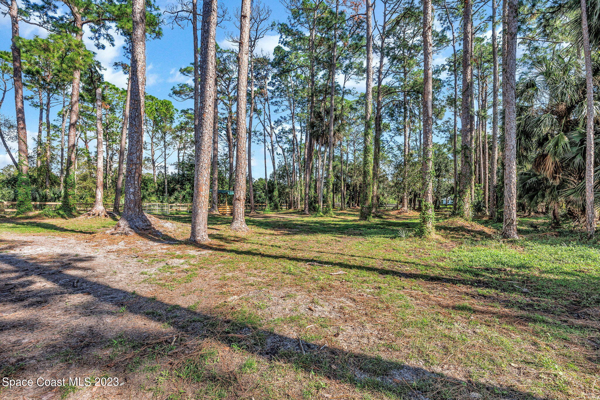 2281 Friday Road Cocoa, FL 32926 - Photo 51 of 72 a backyard of a house with lots of green space and trees
