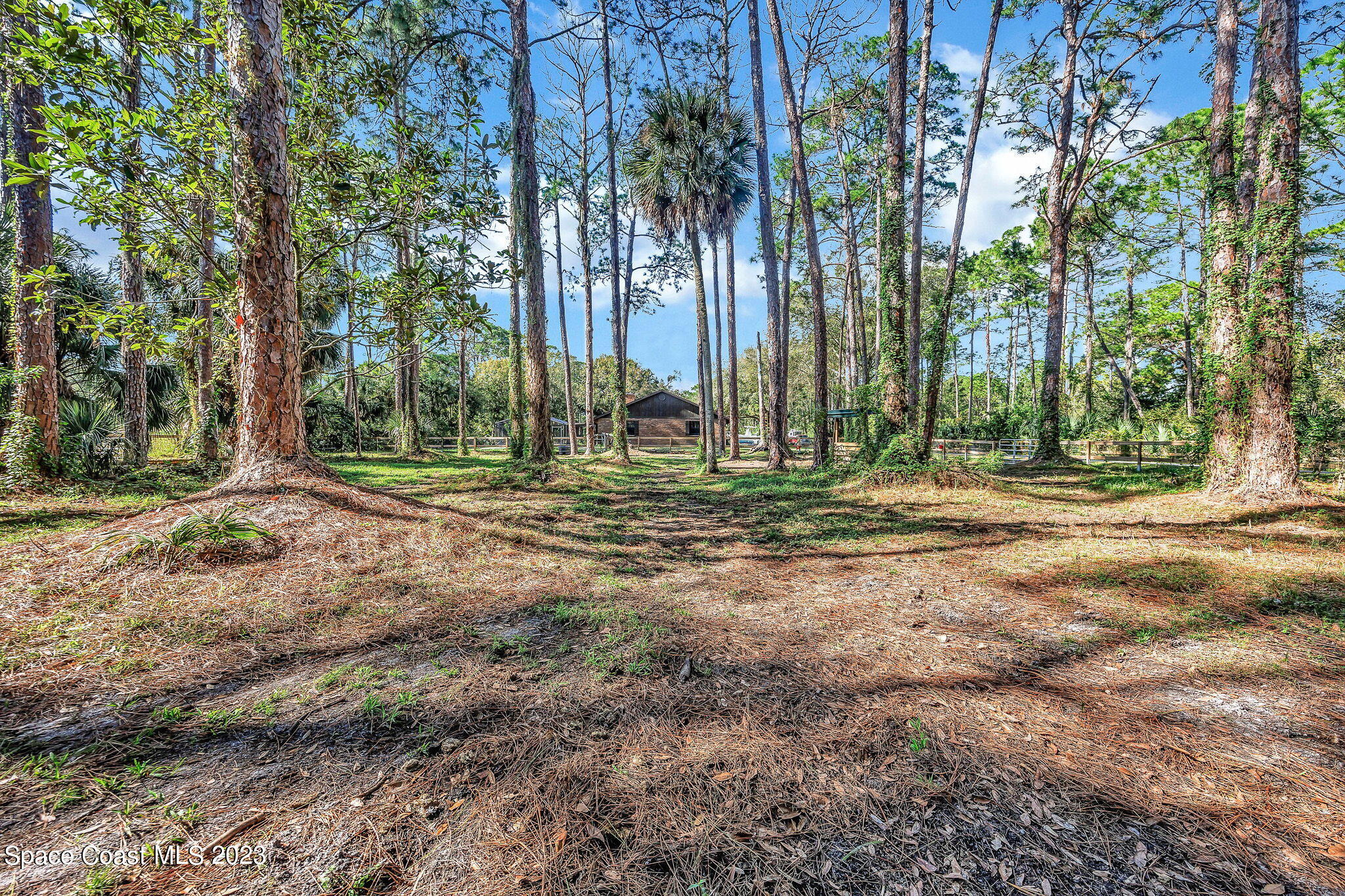 2281 Friday Road Cocoa, FL 32926 - Photo 53 of 72 a backyard of a house with lots of green space