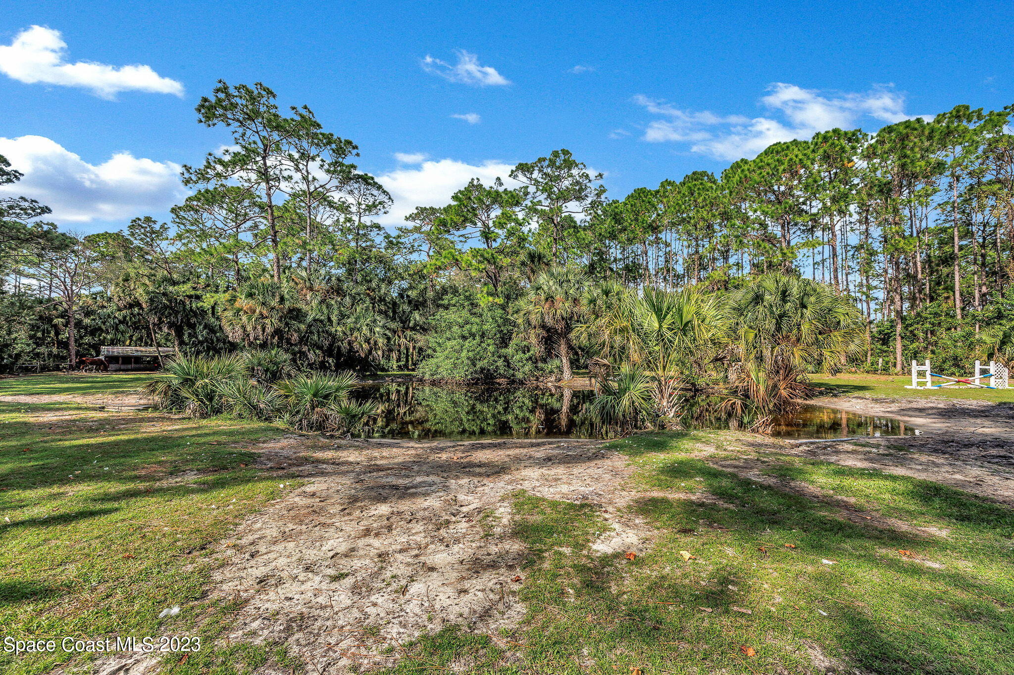 2281 Friday Road Cocoa, FL 32926 - Photo 54 of 72 a view of outdoor space with trees all around