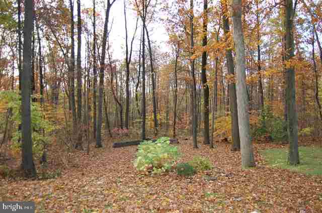 242 Big Spring Road Etters, PA 17319 - Photo 20 of 25 Gallery Image 20
