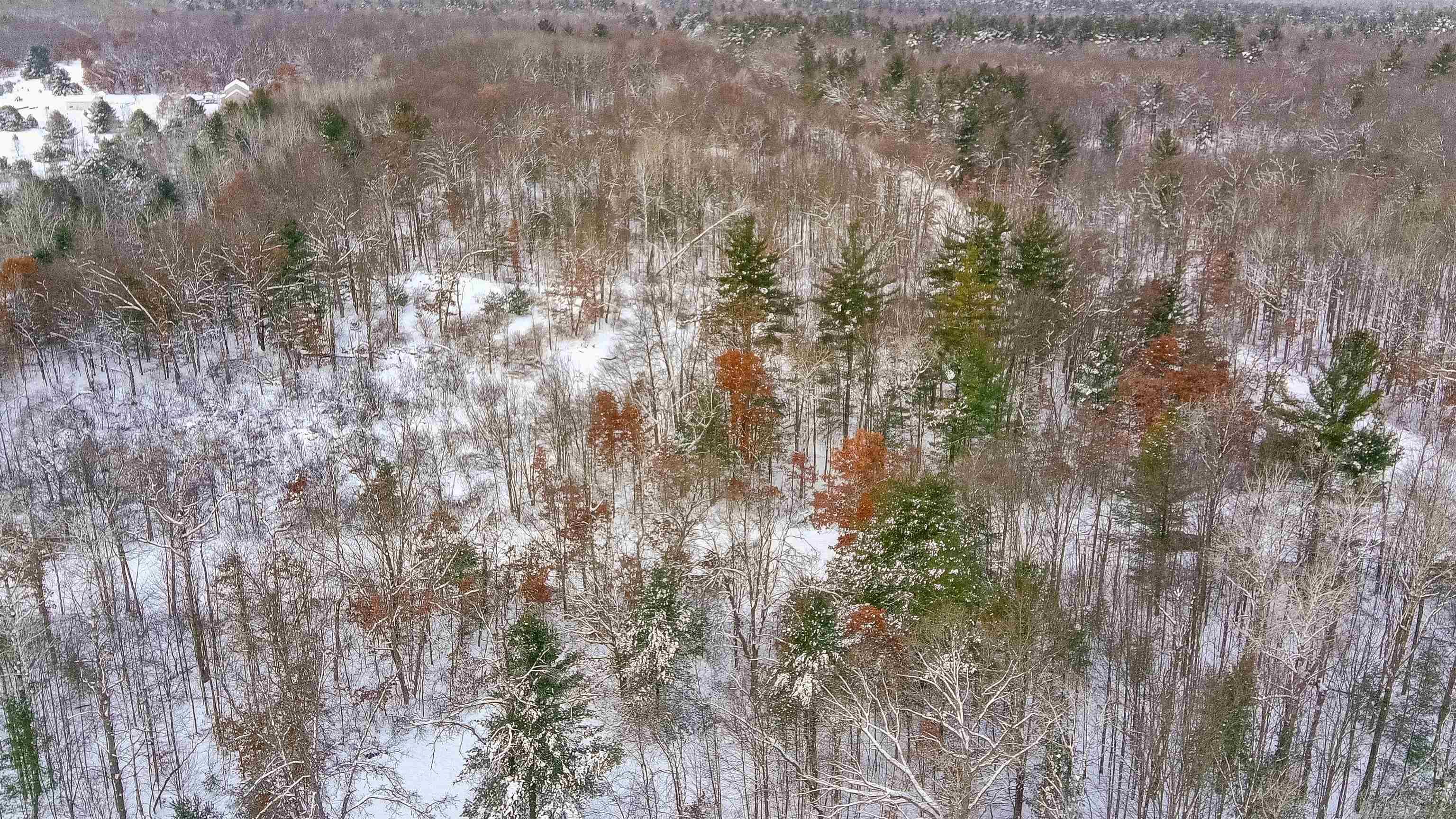 0 North Dagget Road Howard City, MI 49329 - Photo 9 of 25