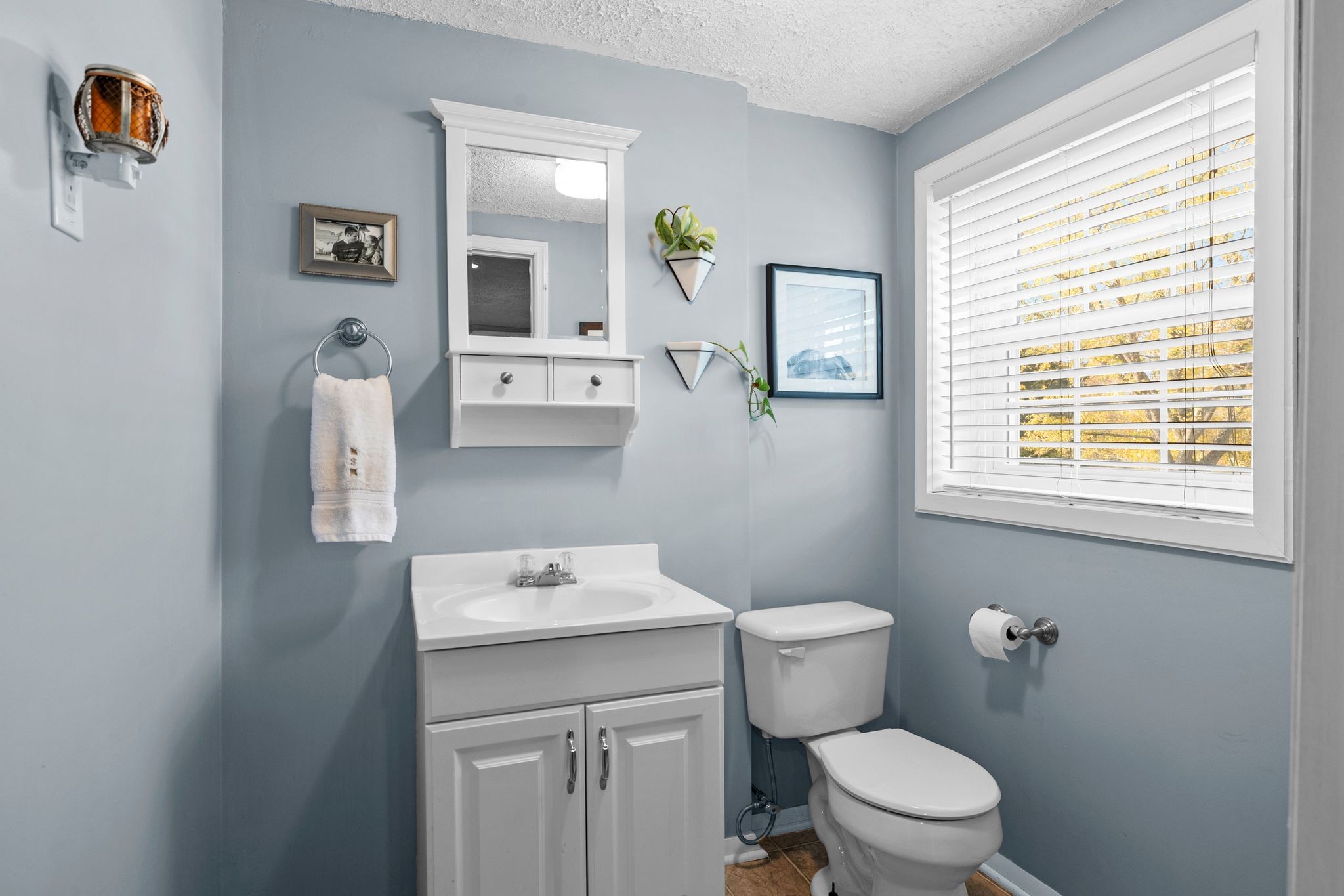 7514 Cox Pike Fairview, TN 37062 - Photo 21 of 37 a bathroom with a toilet a sink and mirror