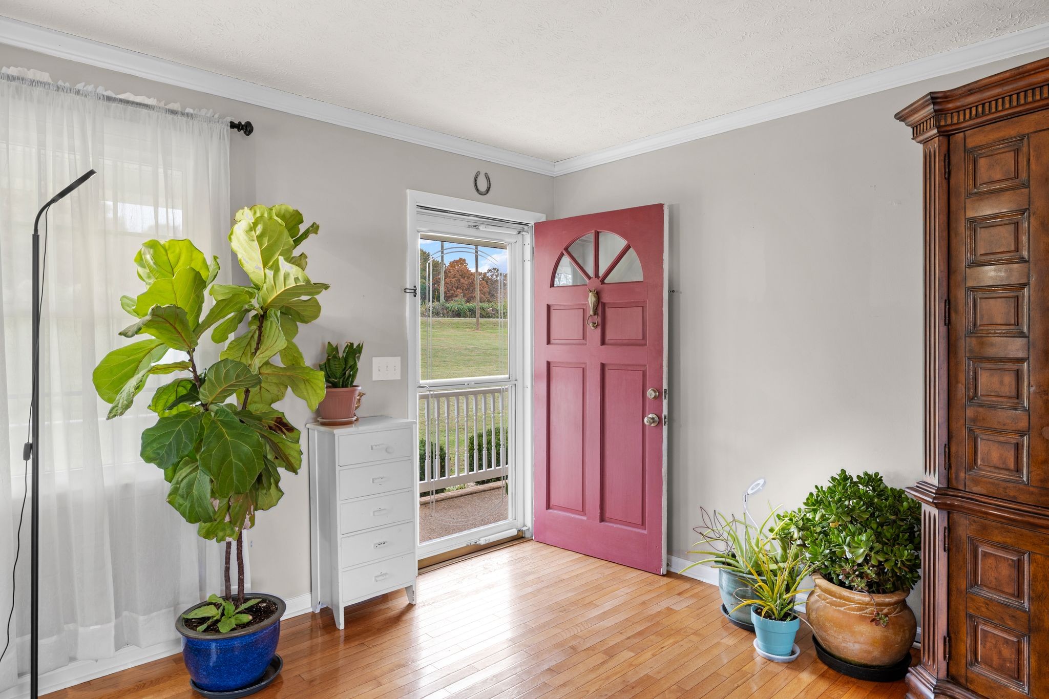 7514 Cox Pike Fairview, TN 37062 - Photo 4 of 37 a potted plant sitting in front of a window with a potted plant