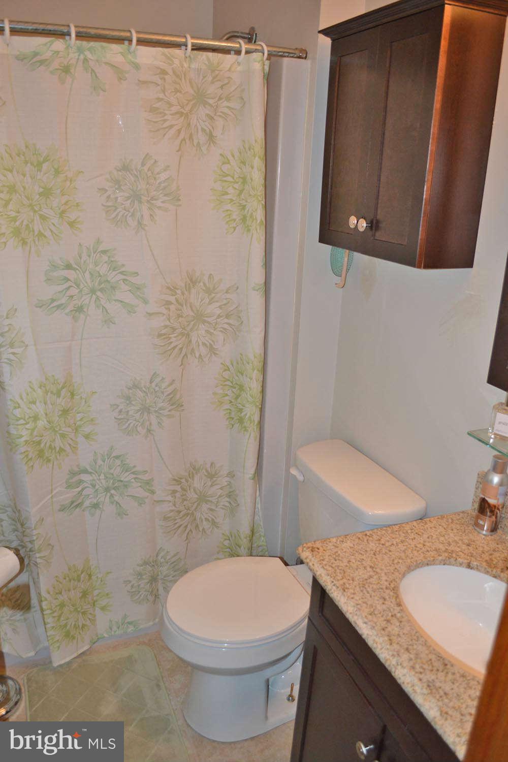 6936 Fox Chase Road New Market, MD 21774 - Photo 20 of 28 Bath (Master)