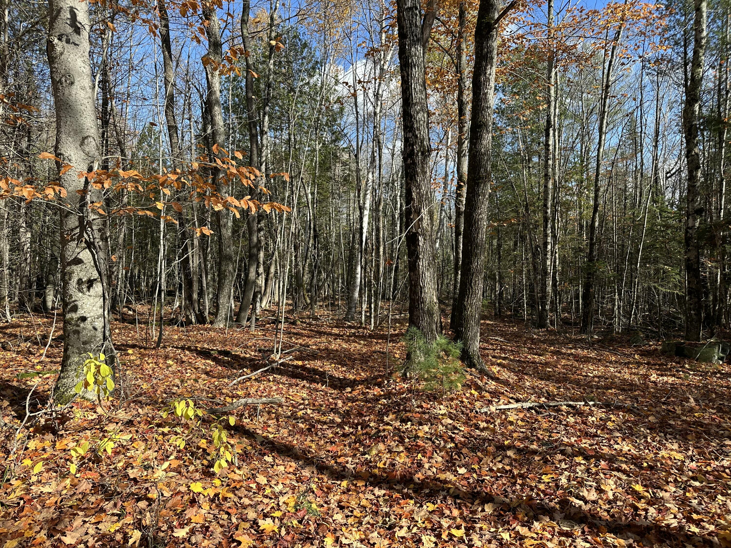 M17-l63-1 Beans Corner Road Pittsfield, ME 04967 - Photo 11 of 12 IMG_1663