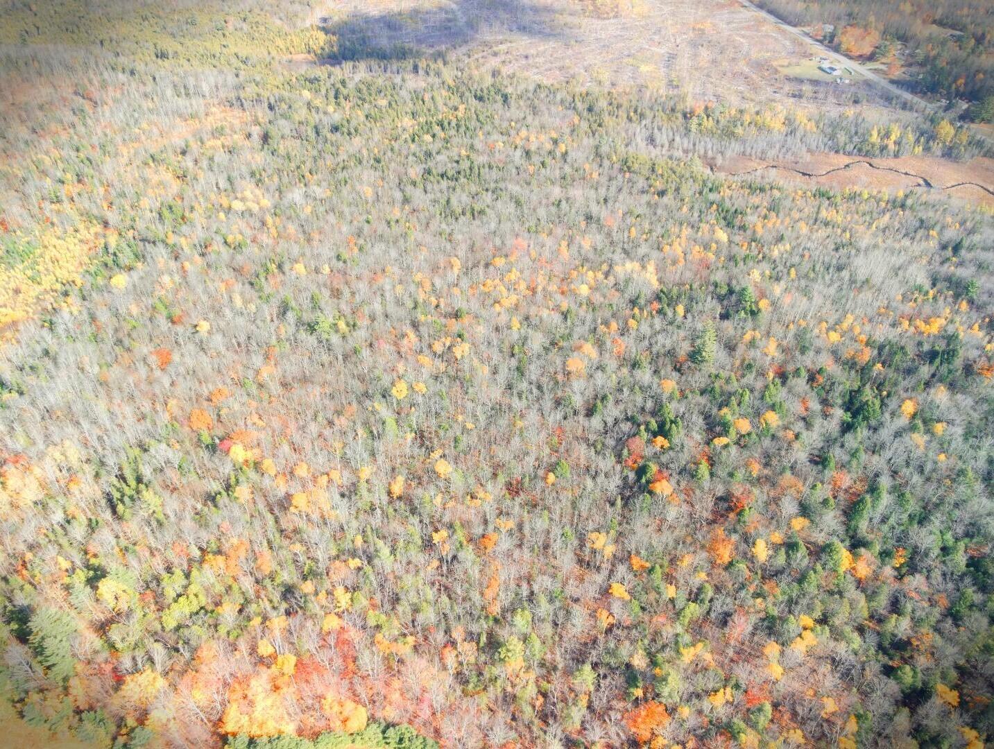 M17-l63-1 Beans Corner Road Pittsfield, ME 04967 - Photo 2 of 12 Snapshot_260