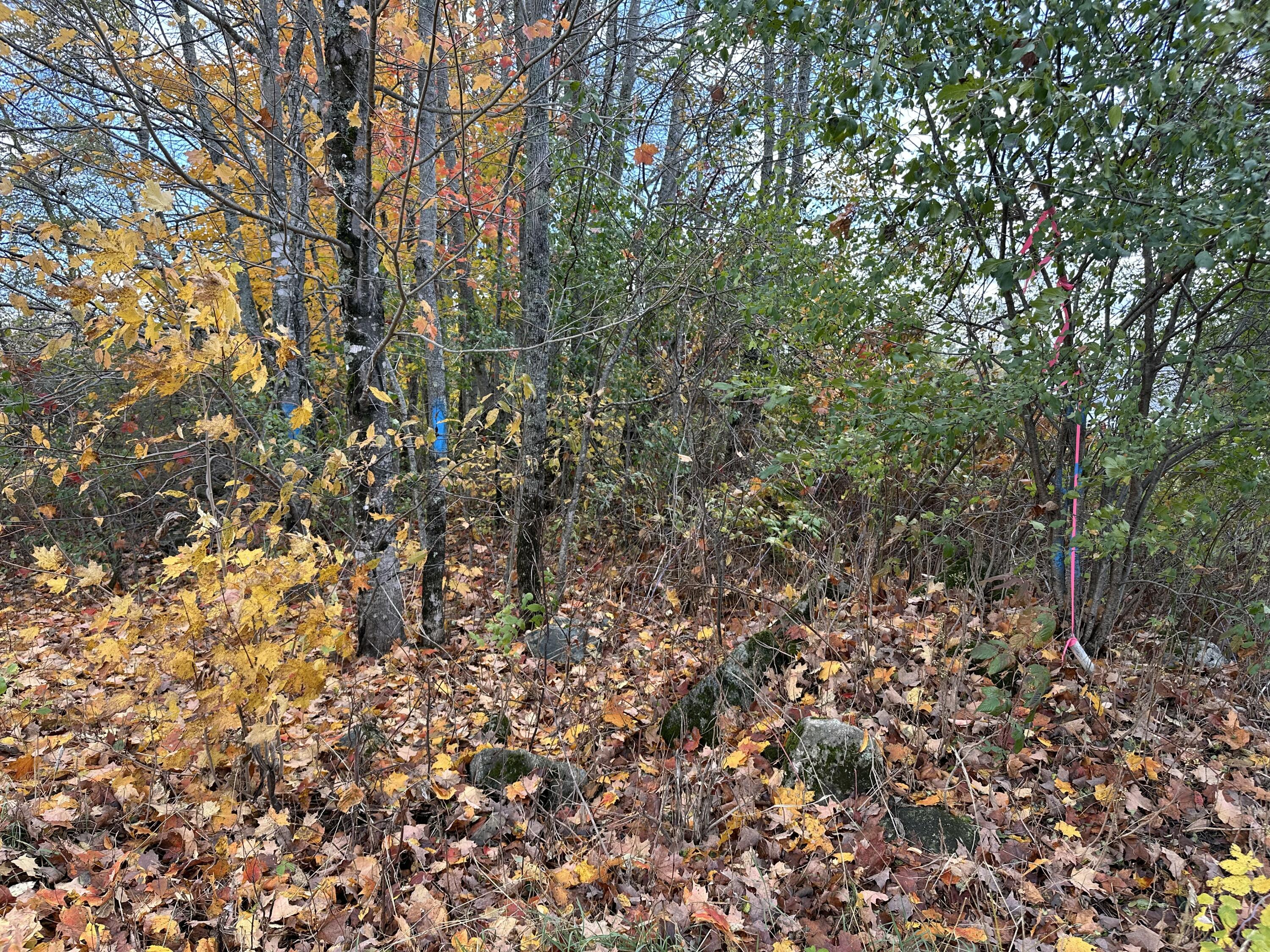 M17-l63-1 Beans Corner Road Pittsfield, ME 04967 - Photo 5 of 12 IMG_1647