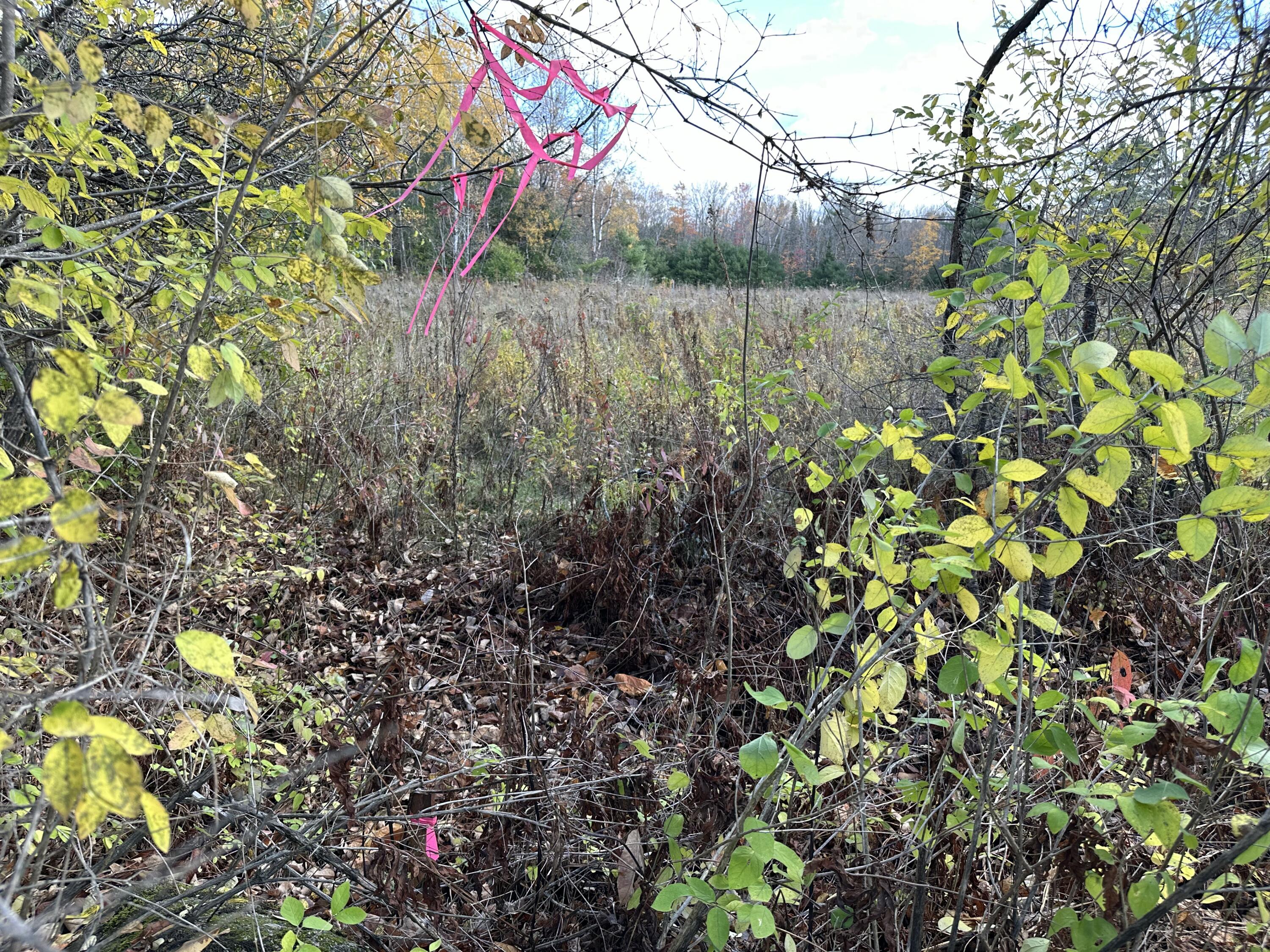 M17-l63-1 Beans Corner Road Pittsfield, ME 04967 - Photo 7 of 12 IMG_1655