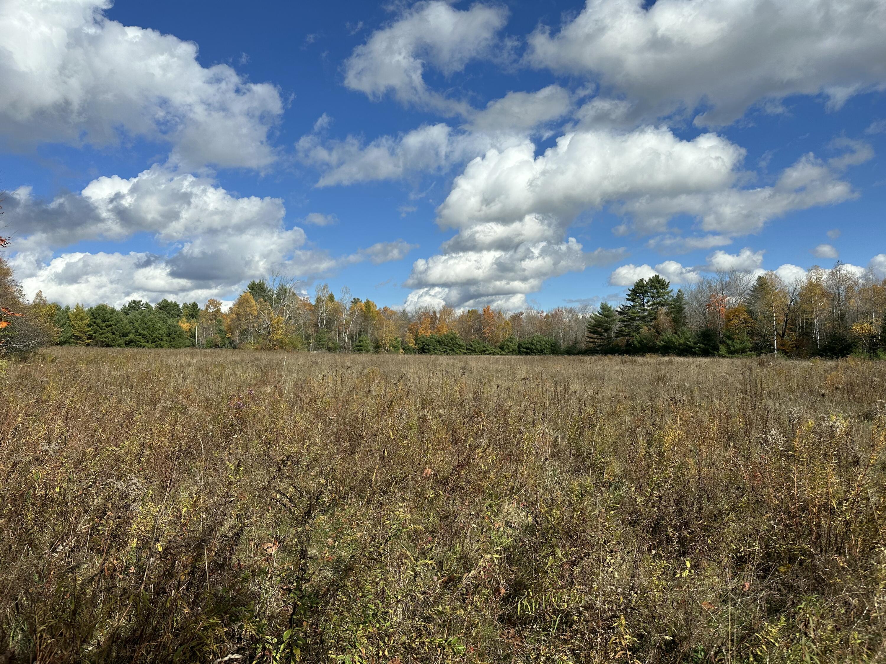M17-l63-1 Beans Corner Road Pittsfield, ME 04967 - Photo 8 of 12 IMG_1652
