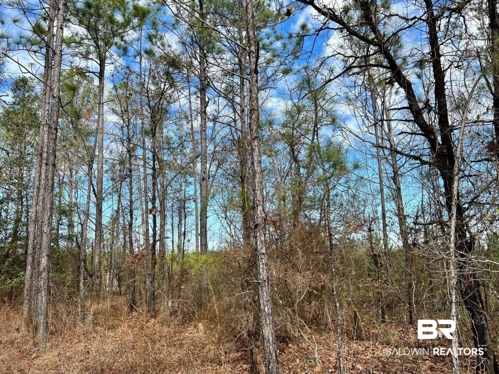 0 Country Road Deer Park, AL 36529 - Photo 45 of 46