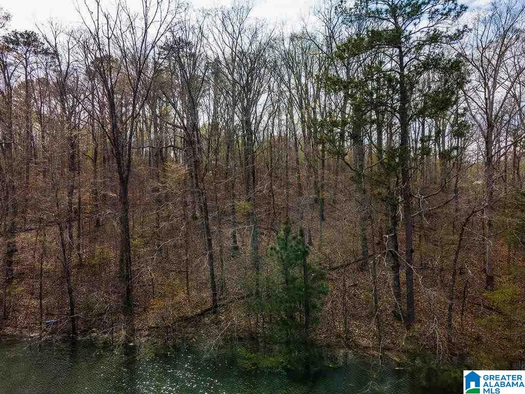 Smith Lake Dam Road Jasper, AL 35504 - Photo 6 of 15