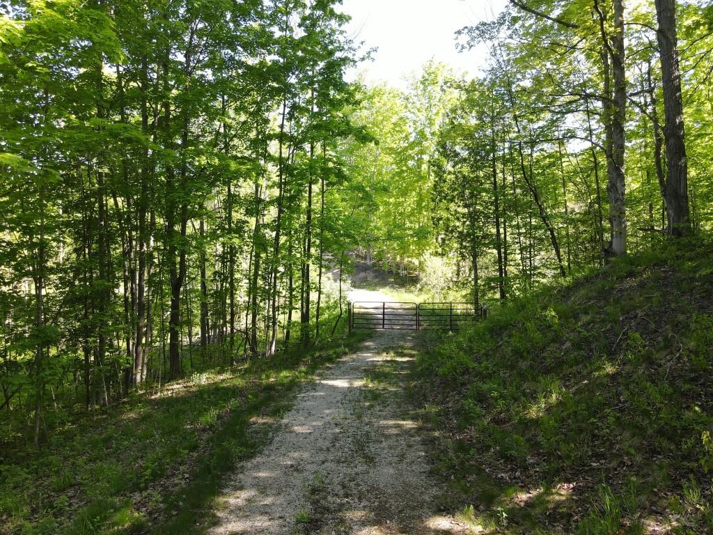 Tbd Pesek Road East Jordan, MI 49727 - Photo 3 of 28