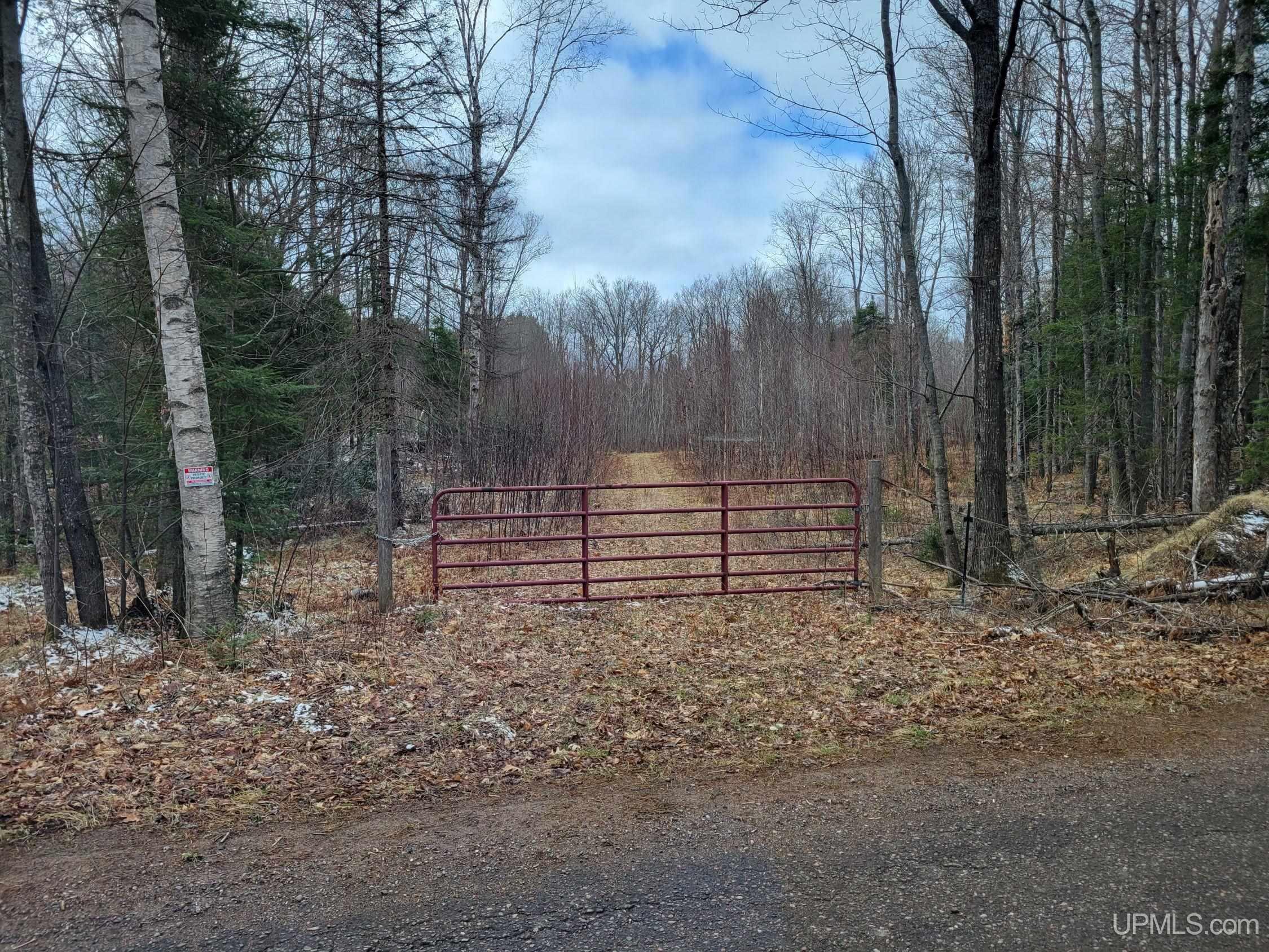 Tbd Fence River Road Republic, MI 49879 - Photo 2 of 4