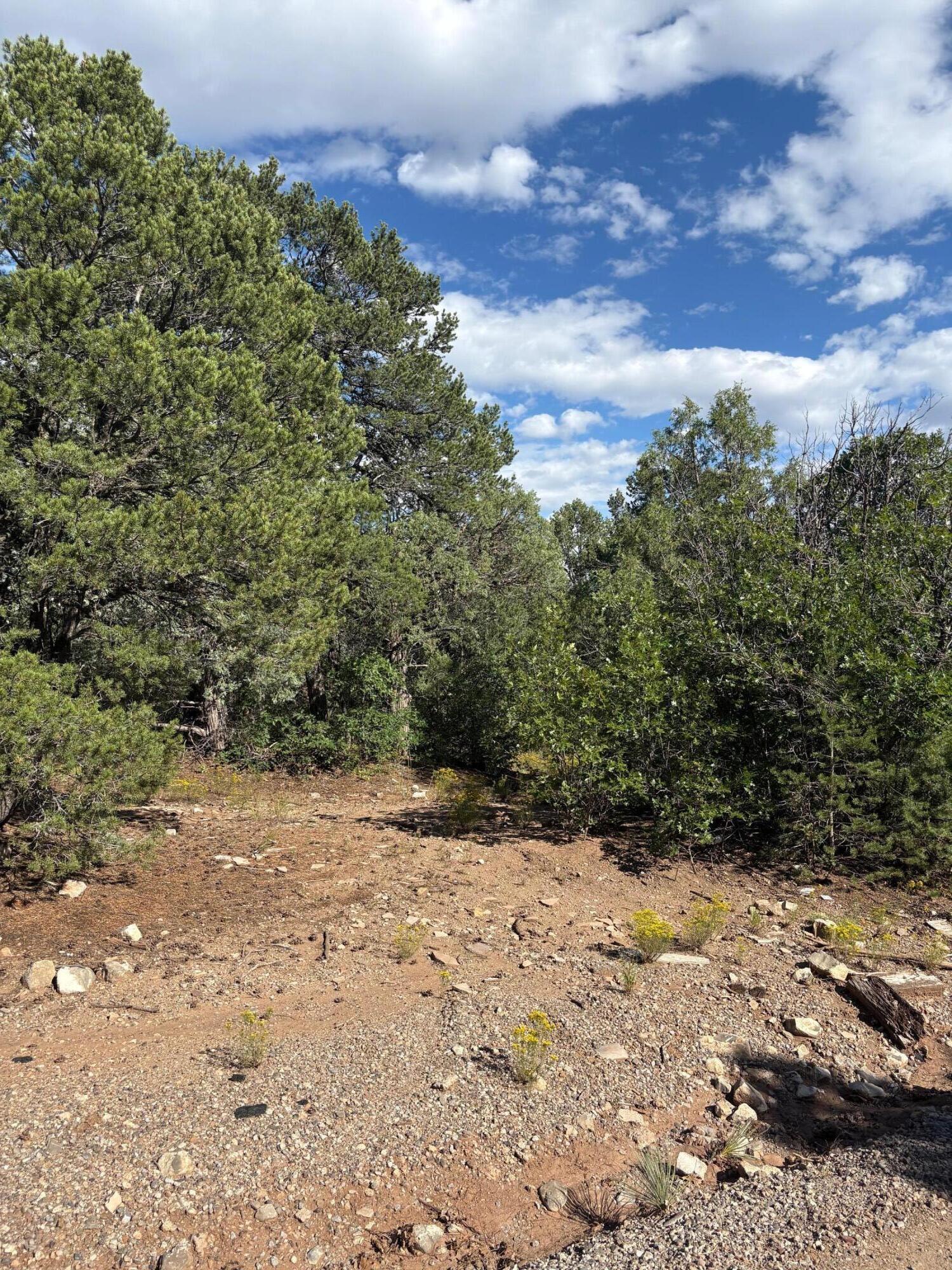 3 Owl Road Tijeras, NM 87059 - Photo 1 of 1 Gallery Image 1