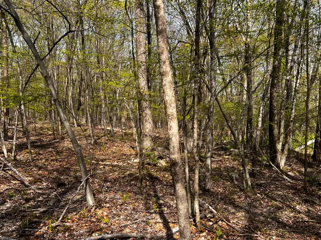 $16,000 | Lot 72 Larkspur/woodruff, Stroudsburg, PA 18360