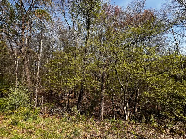 $16,000 | Lot 72 Larkspur/woodruff, Stroudsburg, PA 18360