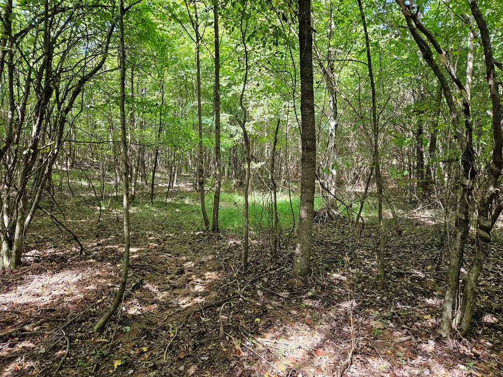0 Grogan Road, Unit 2 Stoneville, NC 27048 - Photo 13 of 14 Gallery Image 13