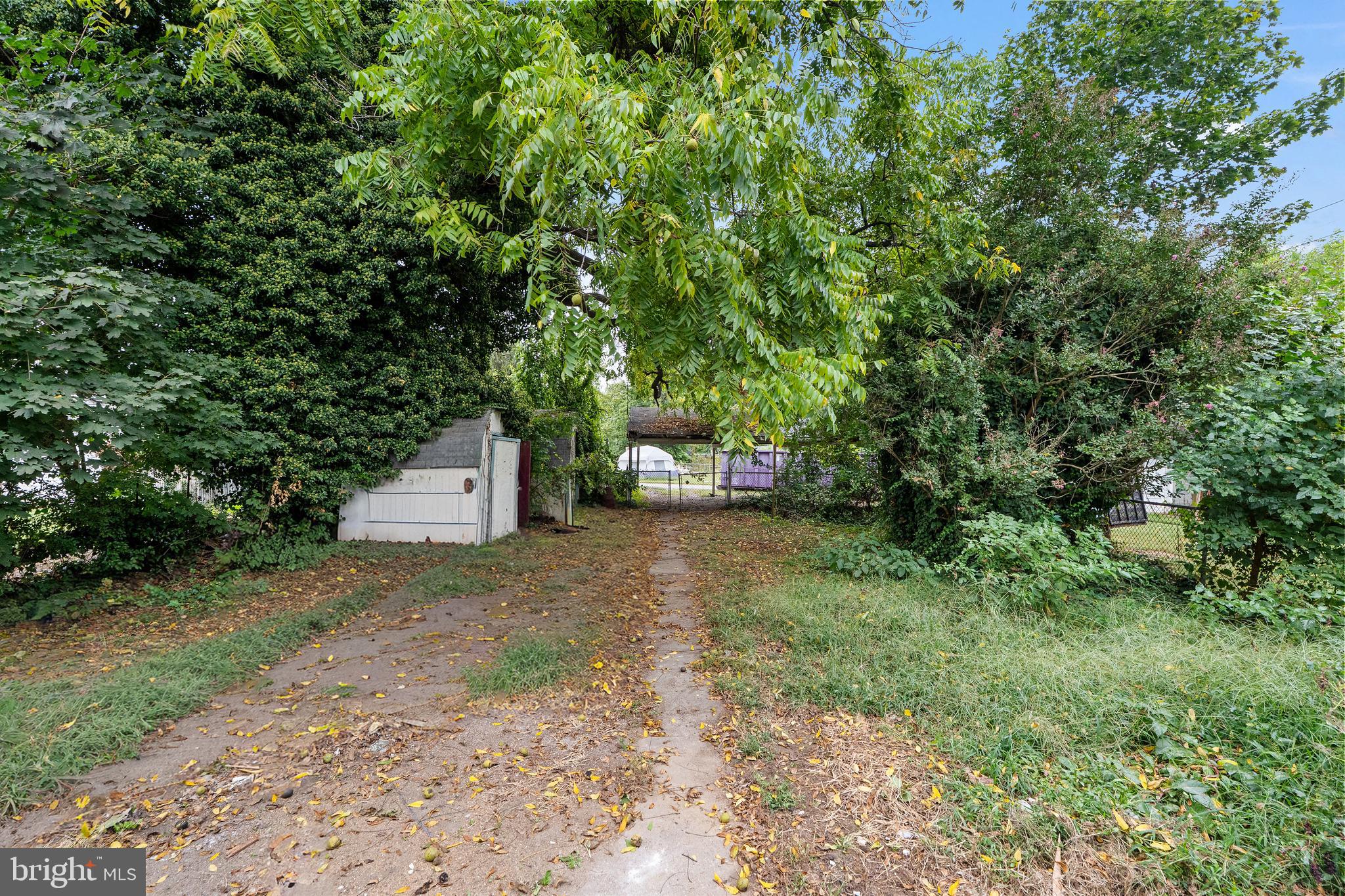 154 7th Street Salem, NJ 08079 - Photo 38 of 48 a view of a yard with plants and trees