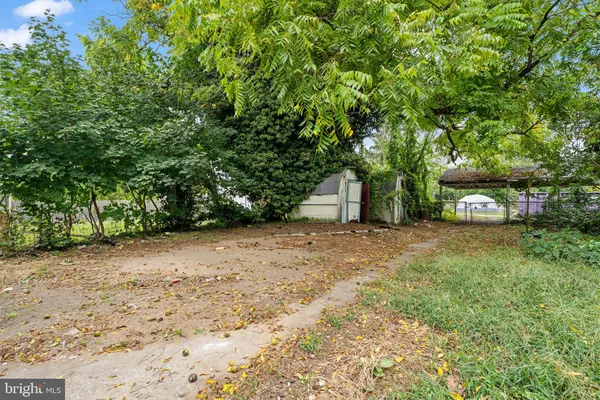 a view of a outdoor space with a tree