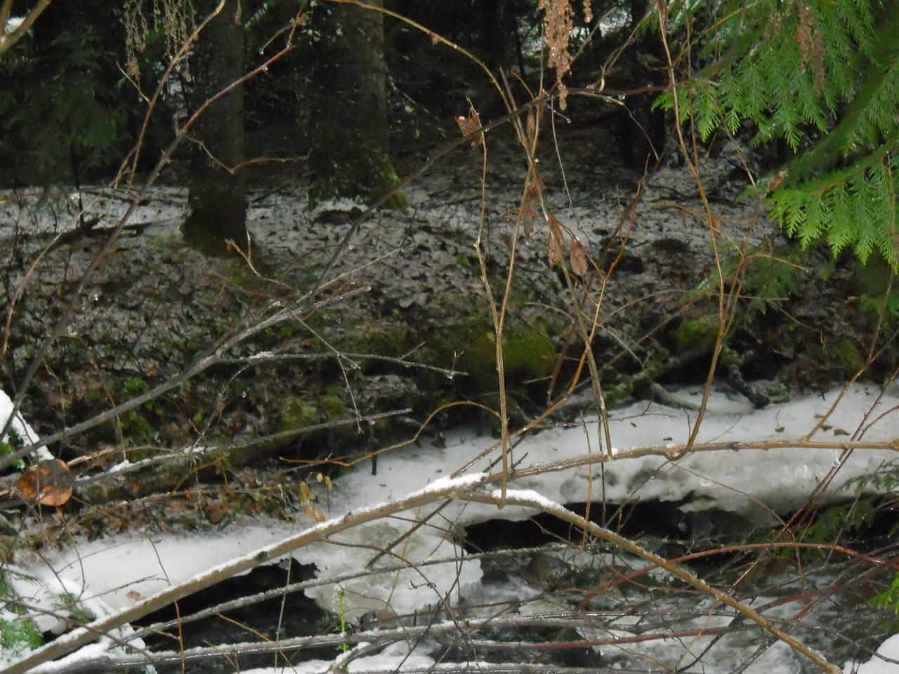 Nka Danforth Road Usk, WA 99180 - Photo 11 of 11
