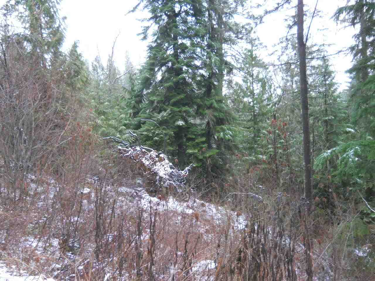 Nka Danforth Road Usk, WA 99180 - Photo 3 of 11
