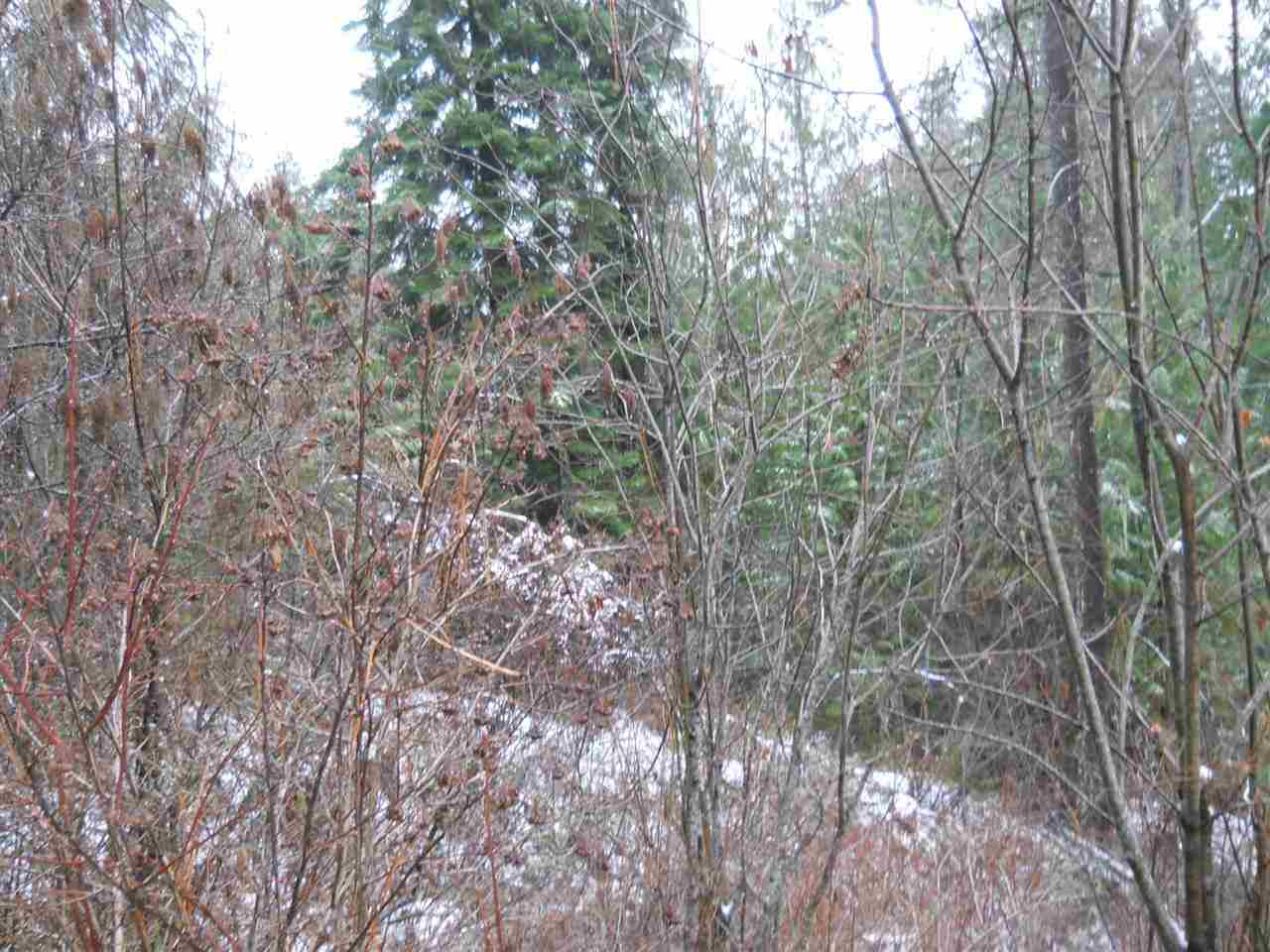 Nka Danforth Road Usk, WA 99180 - Photo 5 of 11