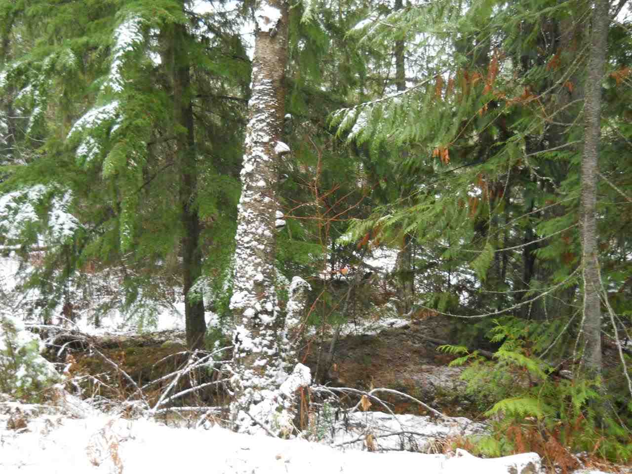 Nka Danforth Road Usk, WA 99180 - Photo 7 of 11