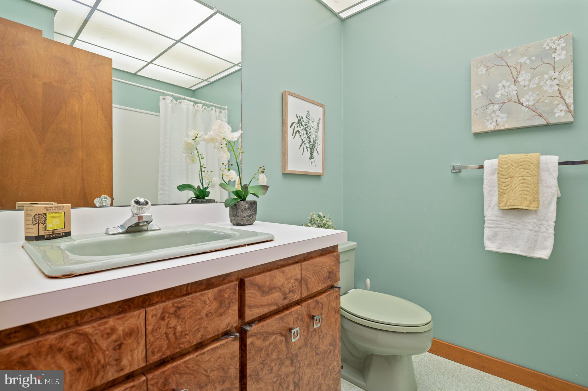 12 Tree Tops Road Landenberg, PA 19350 - Photo 38 of 49 Bathroom