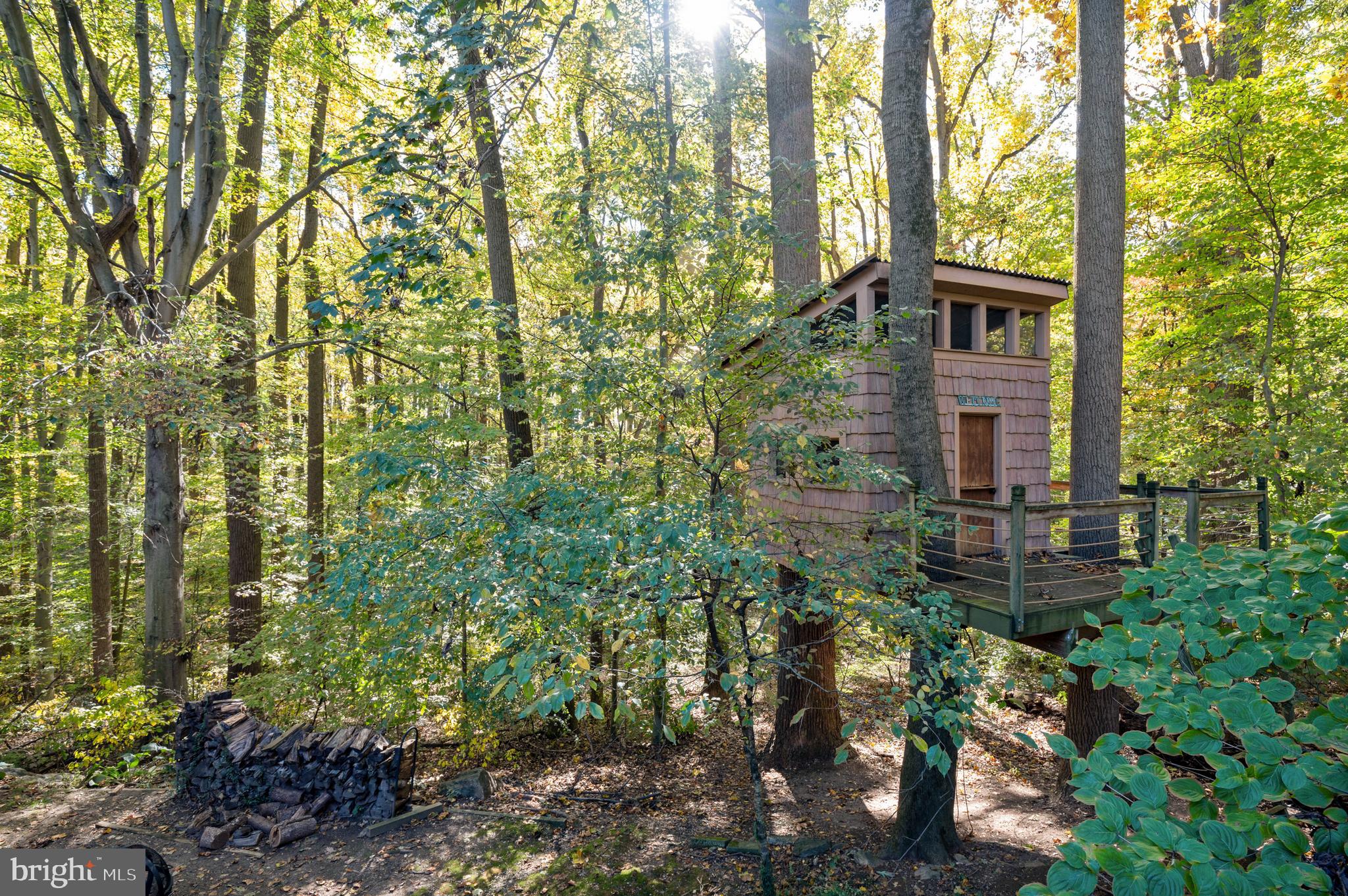 12 Tree Tops Road Landenberg, PA 19350 - Photo 44 of 49 View from back