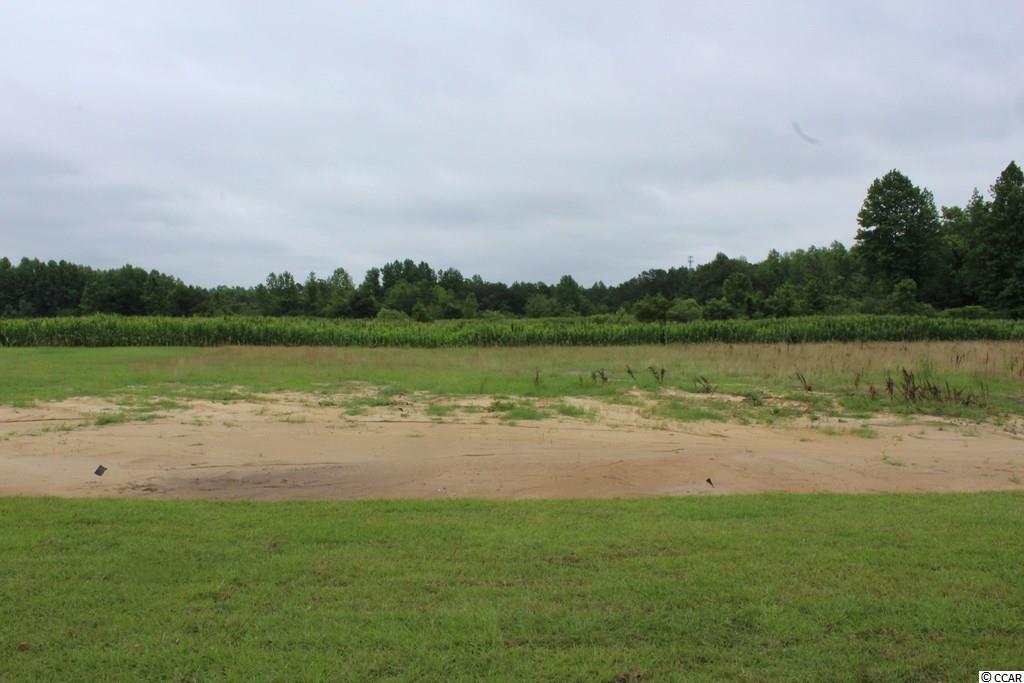 326 Allsbrook Road Loris, SC 29569 - Photo 23 of 28 Gallery Image 23