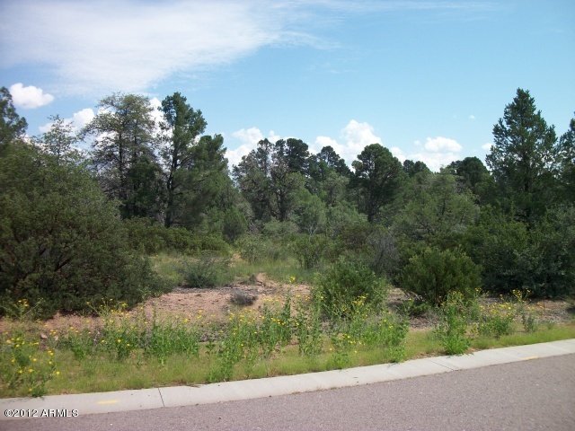 2001 North Spirit Ridge Court, Unit 1 Payson, AZ 85541 - Photo 2 of 8 Photo 2