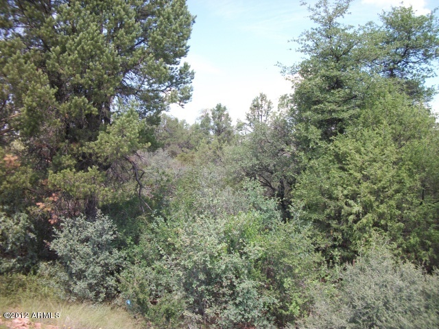 2001 North Spirit Ridge Court, Unit 1 Payson, AZ 85541 - Photo 4 of 8 Photo 4