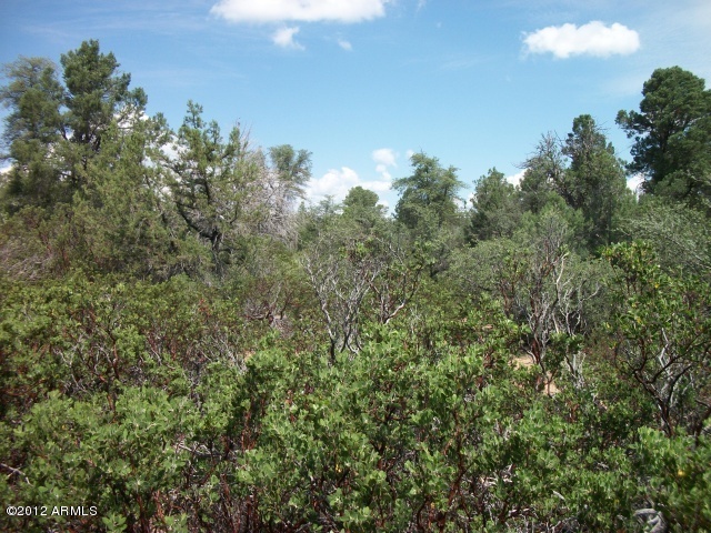 2001 North Spirit Ridge Court, Unit 1 Payson, AZ 85541 - Photo 5 of 8 Photo 5