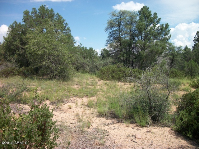 2001 North Spirit Ridge Court, Unit 1 Payson, AZ 85541 - Photo 6 of 8 Photo 6