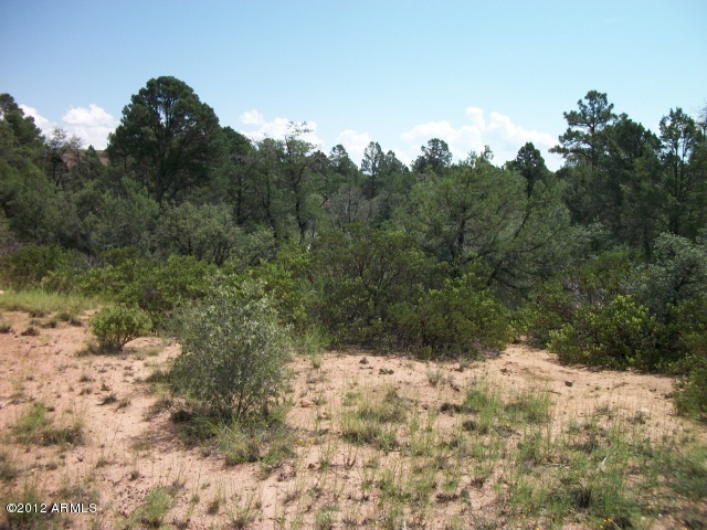2001 North Spirit Ridge Court, Unit 1 Payson, AZ 85541 - Photo 7 of 8 Photo 7