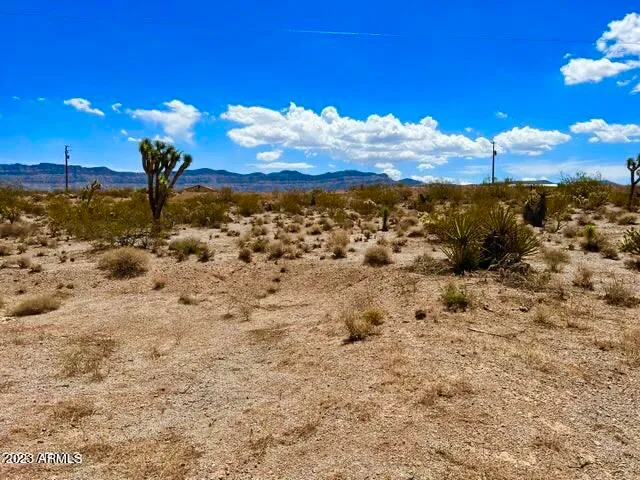 $6,900 | 30390 Dutton Drive, Unit 182, Meadview, AZ 86444