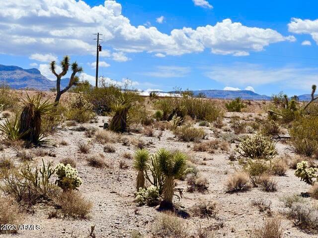 30390 Dutton Drive, Unit 182 Meadview, AZ 86444 - Photo 18 of 30 IMG-0977